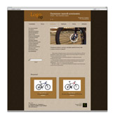Online Store 