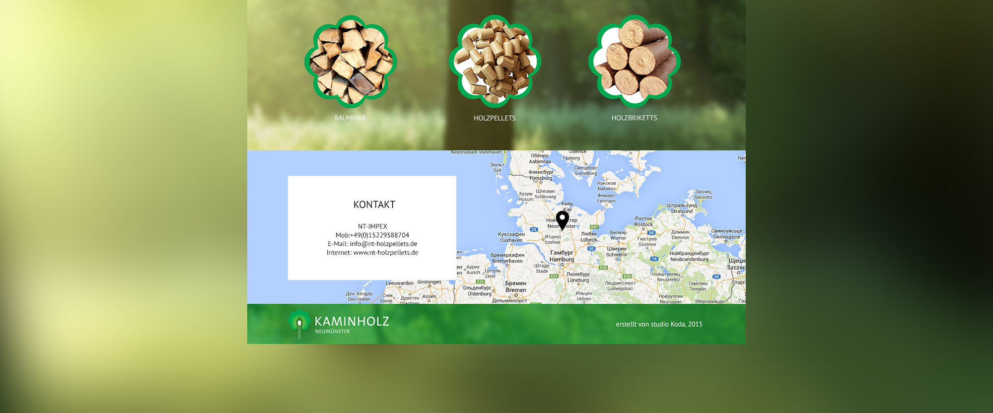 Створення сайту-візитки для виробників біопалива «Kaminholz»